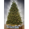 The World's Best Prelit Douglas Fir - Full 40"